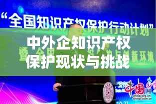 中外企知识产权保护现状与挑战：共筑创新生态