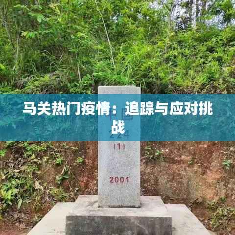 马关热门疫情：追踪与应对挑战