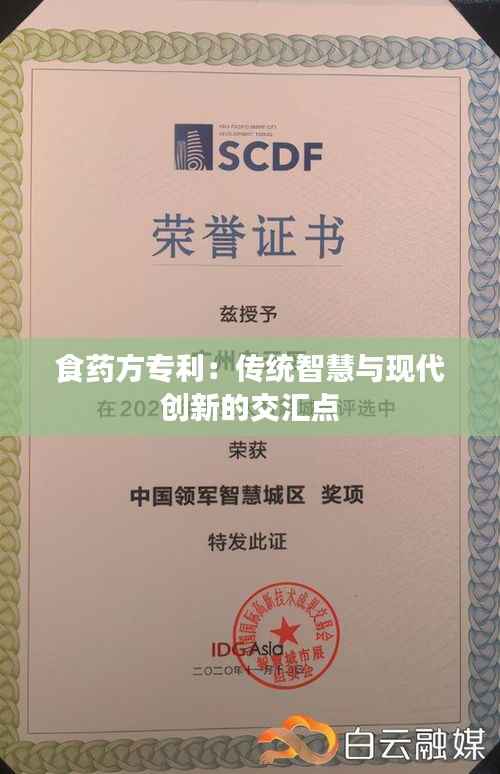 食药方专利：传统智慧与现代创新的交汇点
