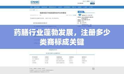 药膳行业蓬勃发展，注册多少类商标成关键