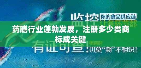 药膳行业蓬勃发展，注册多少类商标成关键