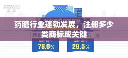 药膳行业蓬勃发展，注册多少类商标成关键