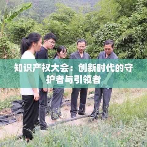 知识产权大会:创新时代的守护者与引领者