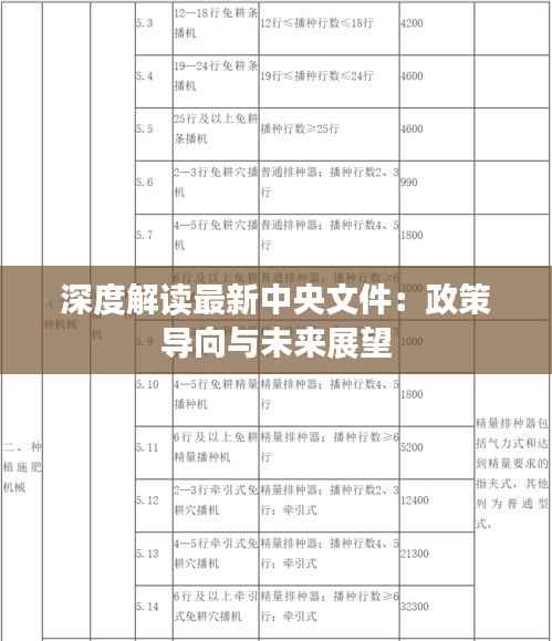 深度解读最新中央文件：政策导向与未来展望