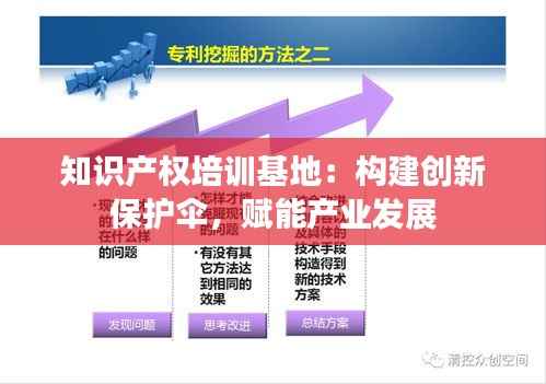 知识产权培训基地：构建创新保护伞，赋能产业发展