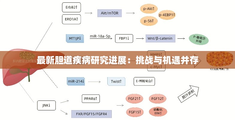 最新胆道疾病研究进展:挑战与机遇并存