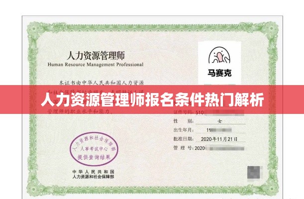 人力资源管理师报名条件热门解析