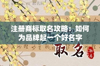 注册商标取名攻略:如何为品牌起一个好名字