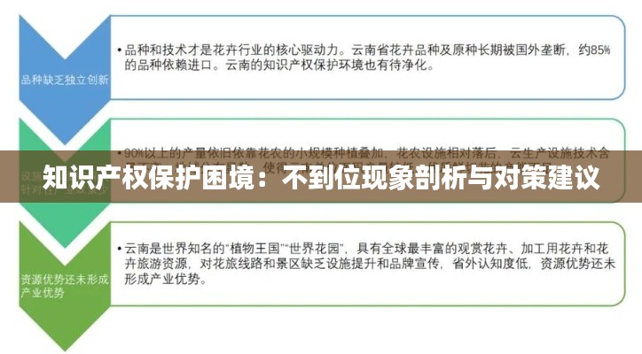 知识产权保护困境:不到位现象剖析与对策建议
