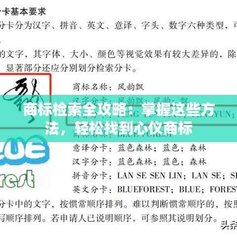 商标检索全攻略:掌握这些方法,轻松找到心仪商标
