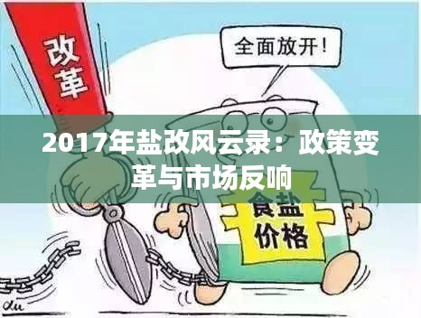 2017年盐改风云录:政策变革与市场反响