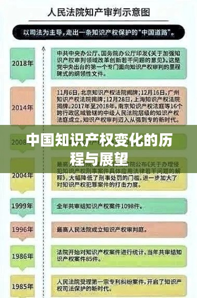 中国知识产权变化的历程与展望