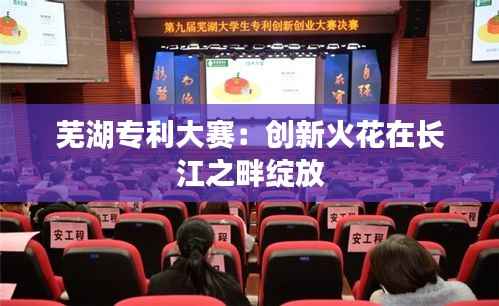 芜湖专利大赛:创新火花在长江之畔绽放