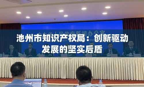 池州市知识产权局：创新驱动发展的坚实后盾