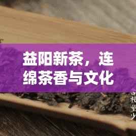 益阳新茶，连绵茶香与文化繁荣共融的魅力盛宴