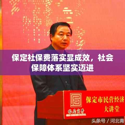 保定社保费落实显成效,社会保障体系坚实迈进