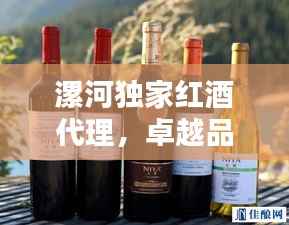 漯河独家红酒代理,卓越品质,独享魅力