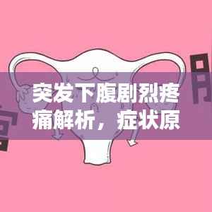 突发下腹剧烈疼痛解析，症状原因及应对方法