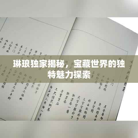 琳琅独家揭秘,宝藏世界的独特魅力探索