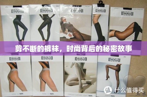 手不释卷 第3页