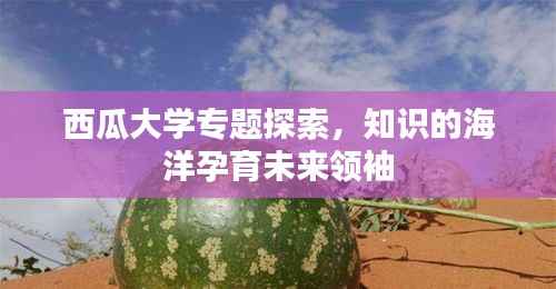 夫贵妻荣 第4页