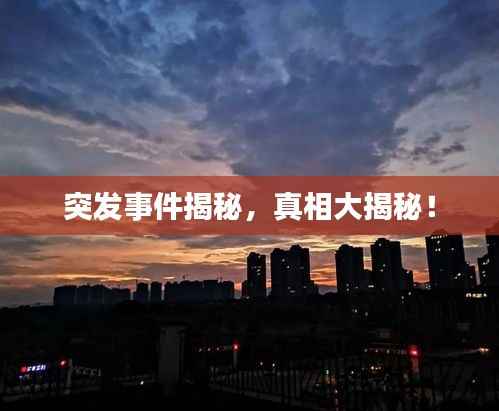 堂而皇之 第3页