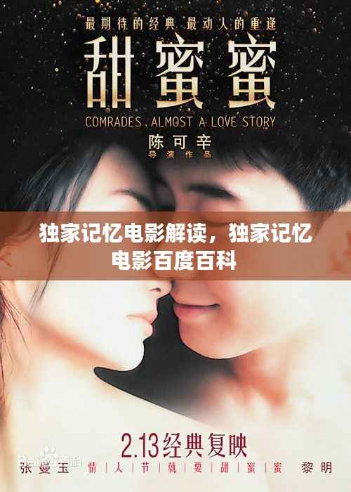 独家记忆电影解读，独家记忆电影百度百科 