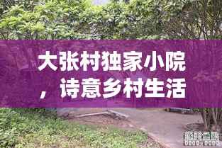 大张村独家小院,诗意乡村生活的完美缩影