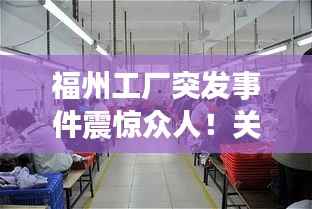 福州工厂突发事件震惊众人!关注细节揭秘!