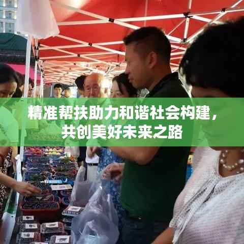 精准帮扶助力和谐社会构建,共创美好未来之路