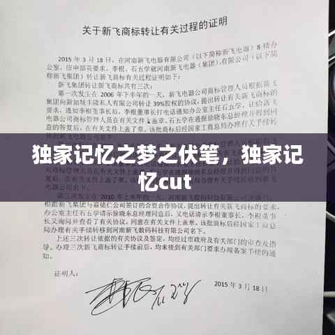 独家记忆之梦之伏笔,独家记忆cut