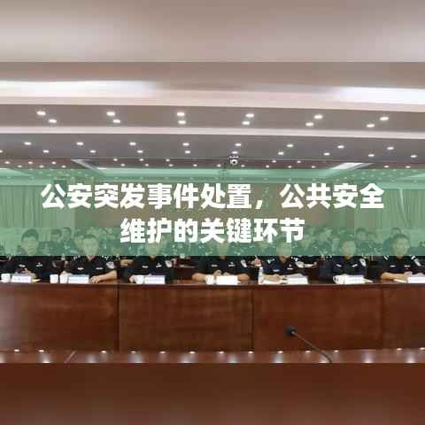 志在四方 第3页