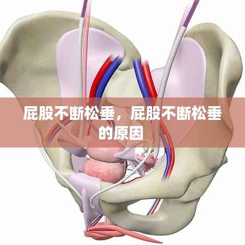 屁股不断松垂，屁股不断松垂的原因 