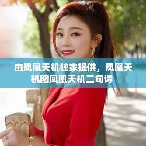 由凤凰天机独家提供,凤凰天机图凤凰天机二句诗