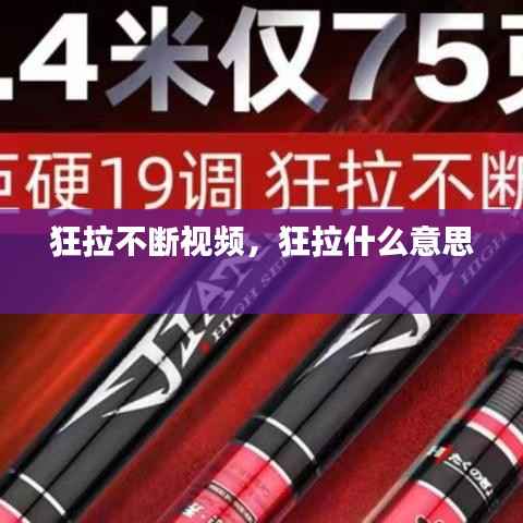 死得其所 第3页