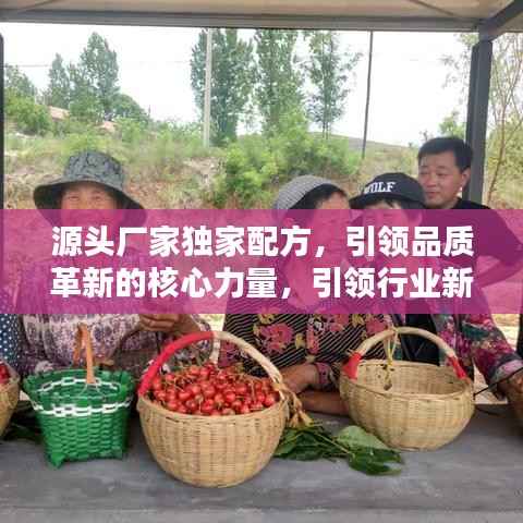 源头厂家独家配方,引领品质革新的核心力量,引领行业新潮流