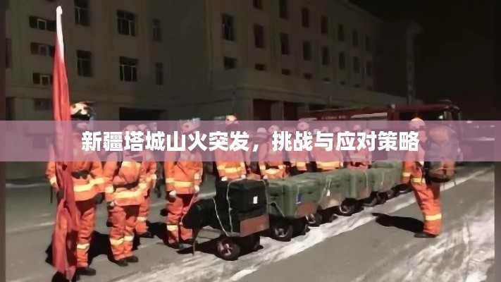 新疆塔城山火突发,挑战与应对策略