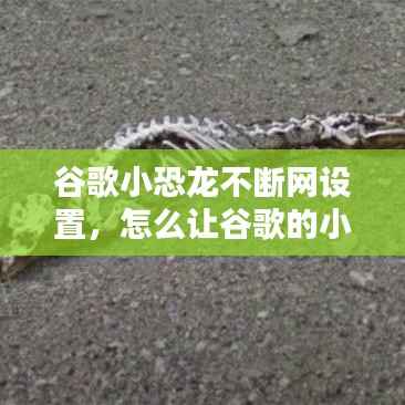 谷歌小恐龙不断网设置，怎么让谷歌的小恐龙动起来 