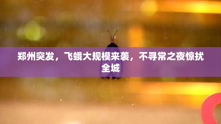 眉清目秀 第3页