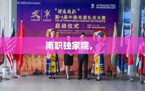 衣不完采 第3页