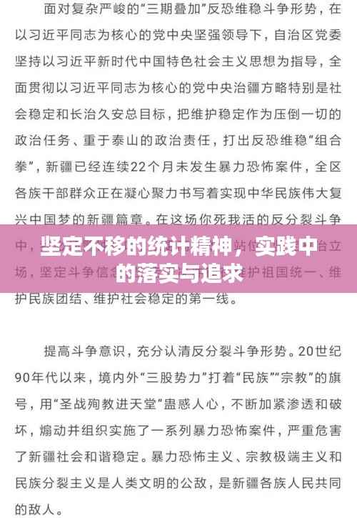坚定不移的统计精神,实践中的落实与追求