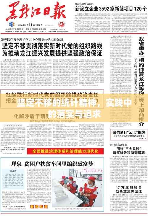 坚定不移的统计精神,实践中的落实与追求