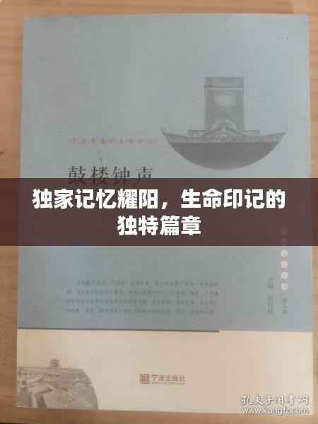 独家记忆耀阳,生命印记的独特篇章