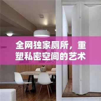 全网独家厕所,重塑私密空间的艺术与舒适体验