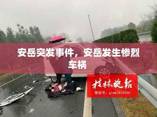 安岳突发事件,安岳发生惨烈车祸