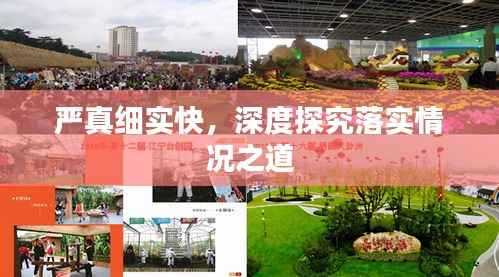 严真细实快，深度探究落实情况之道