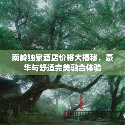 南岭独家酒店价格大揭秘，豪华与舒适完美融合体验