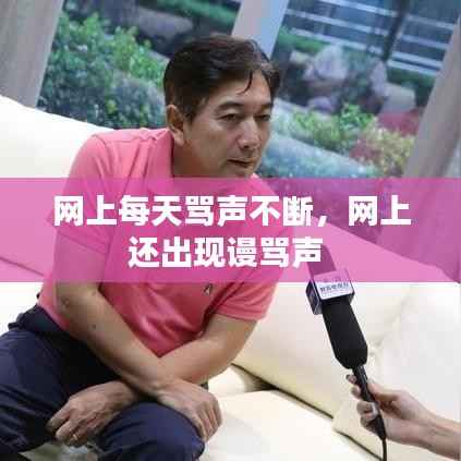 网上每天骂声不断,网上还出现谩骂声