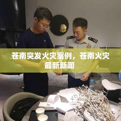 苍南突发火灾案例，苍南火灾最新新闻 