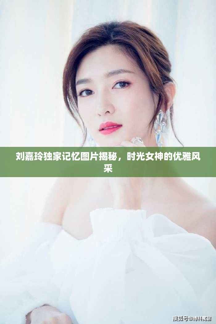 刘嘉玲独家记忆图片揭秘,时光女神的优雅风采